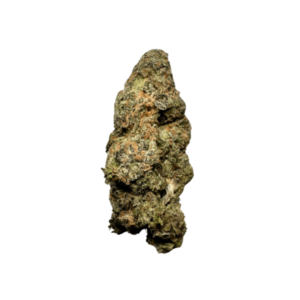 Kamikaze Sherbmoney Strain