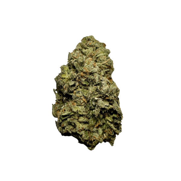 Z33 Strain