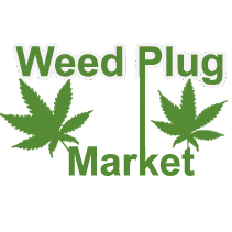 Weed Plug Market